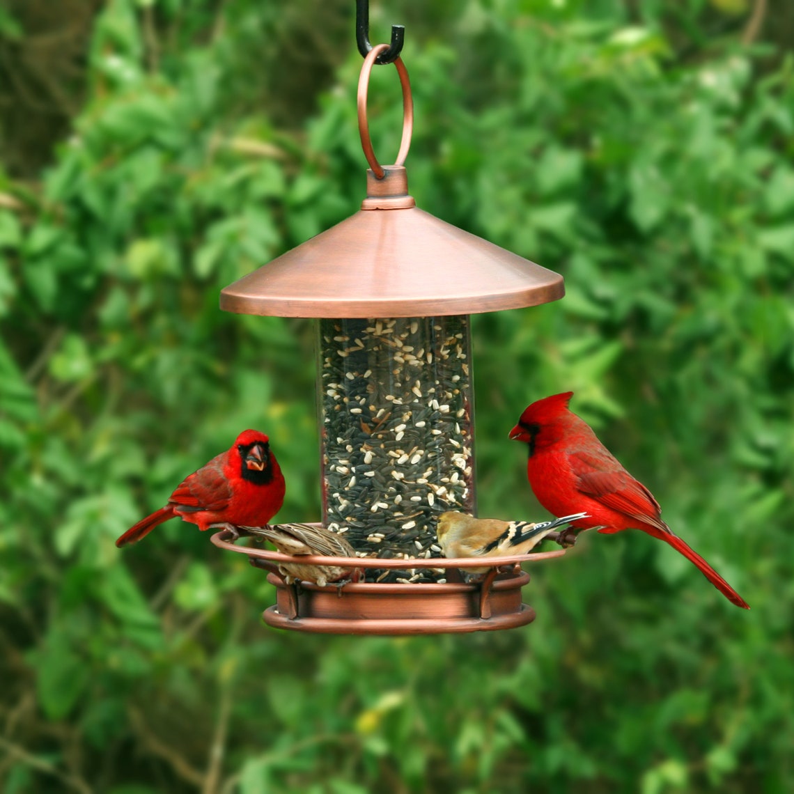 Classic Perch Bird Feeder Copper Finish Etsy