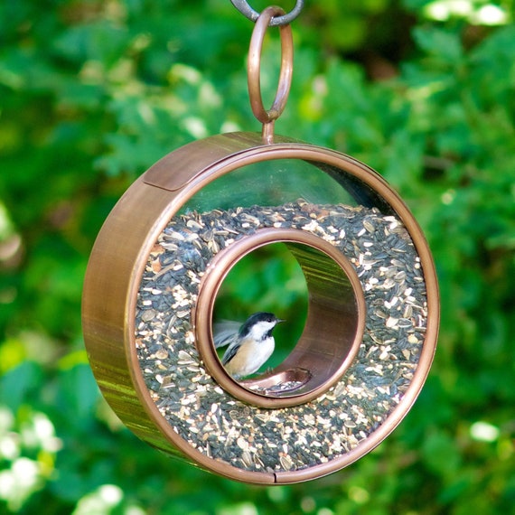 Circle Fly Thru Bird Feeder Copper Finish Etsy
