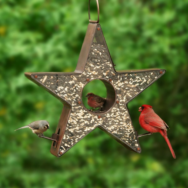 Copper Star Fly-Thru™ Bird Feeder – Large 4 lb. Seed Capacity