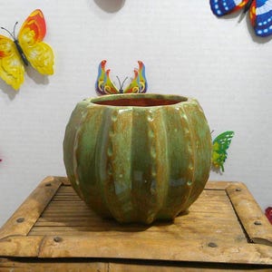 May include: A green ceramic pumpkin-shaped planter with vertical ridges. The planter sits on a wooden surface and is surrounded by decorative butterfly accents. The interior of the planter has a reddish-brown glaze.