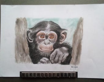 Baby monkey portrait drawing