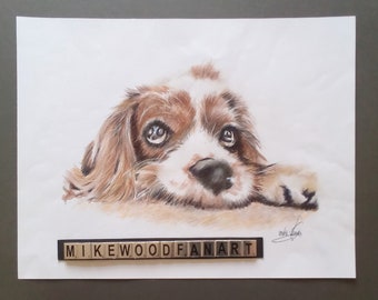 Spaniel puppy original drawing