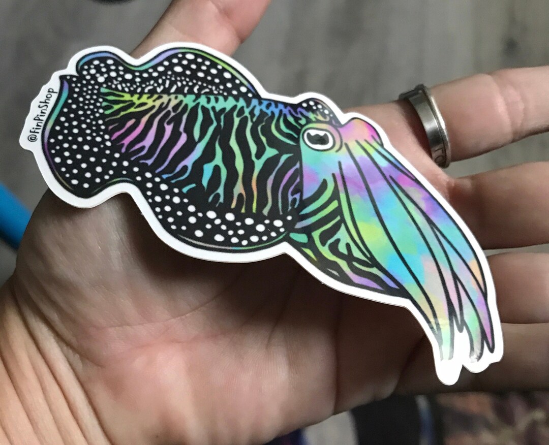 Rainbow Cuttlefish Sticker - Etsy
