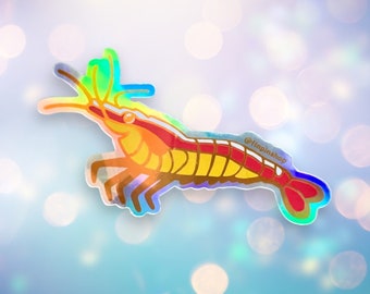 March 2024 Patreon Pacific Cleaner Shrimp Sticker