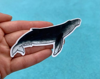 Humpback whale sticker Donation Item