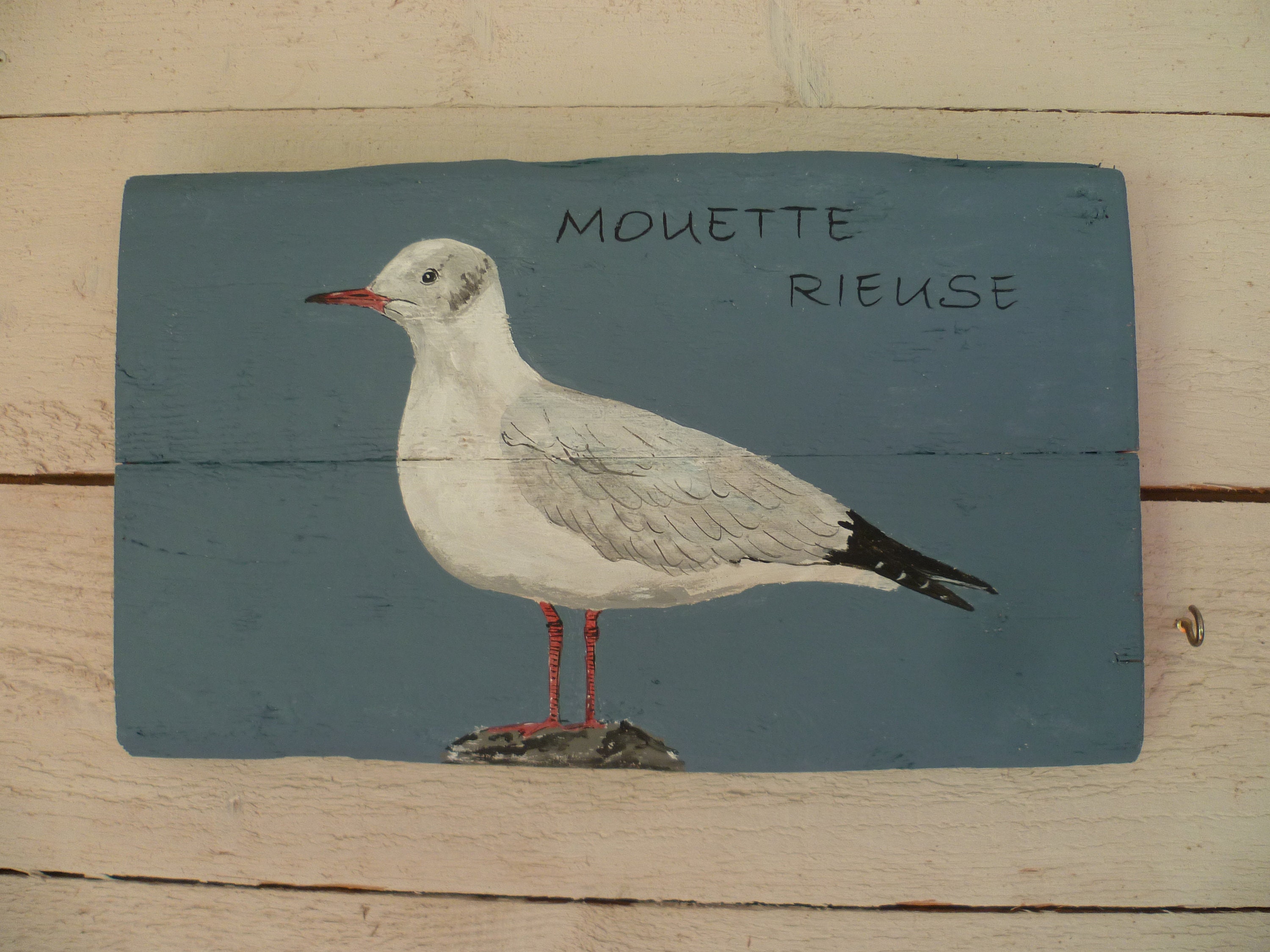 Mouette Rieuse sur Bois Flotté