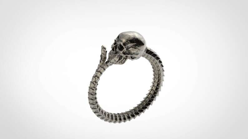 May include: A silver ring featuring a skull design. The ring is crafted from a skeletal spine that wraps around the finger and terminates with a skull head.