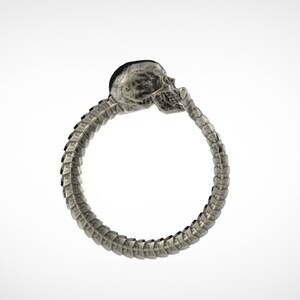 May include: A silver ring featuring a skull design. The ring is crafted from a skeletal design with a skull at the top.