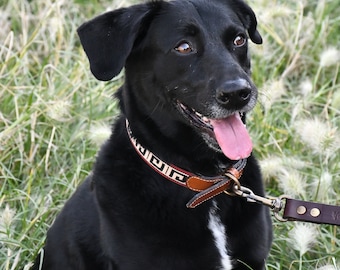 Leather Guarda Pampa dog collar