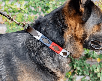 Leather dog collar, Ceibo model