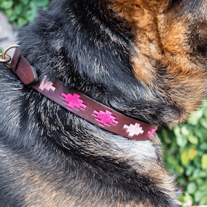 May include: A brown leather dog collar with pink embroidered stitching. The collar is on a dog with brown and black fur.