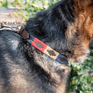 Dog leather collar Calandria model