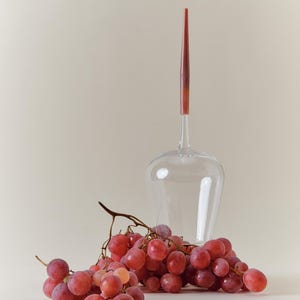 Copas de vino para picnic - Juego de 2 copas de vino con tallo rosa - Rose Pearl