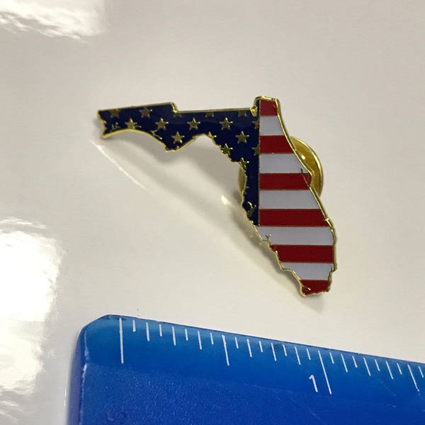 Florida State Lapel Pin FL US Flag American USA Patriot Politics