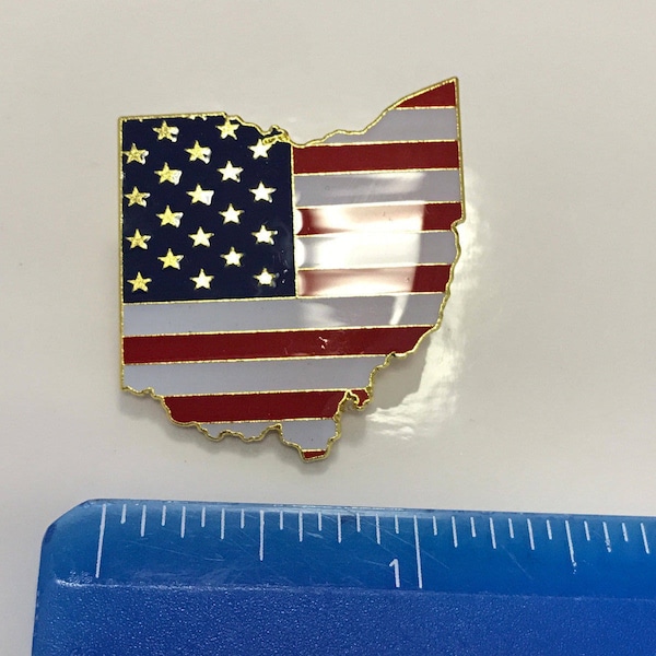 Ohio State Lapel Pin OH US Flag American USA Patriot Politics