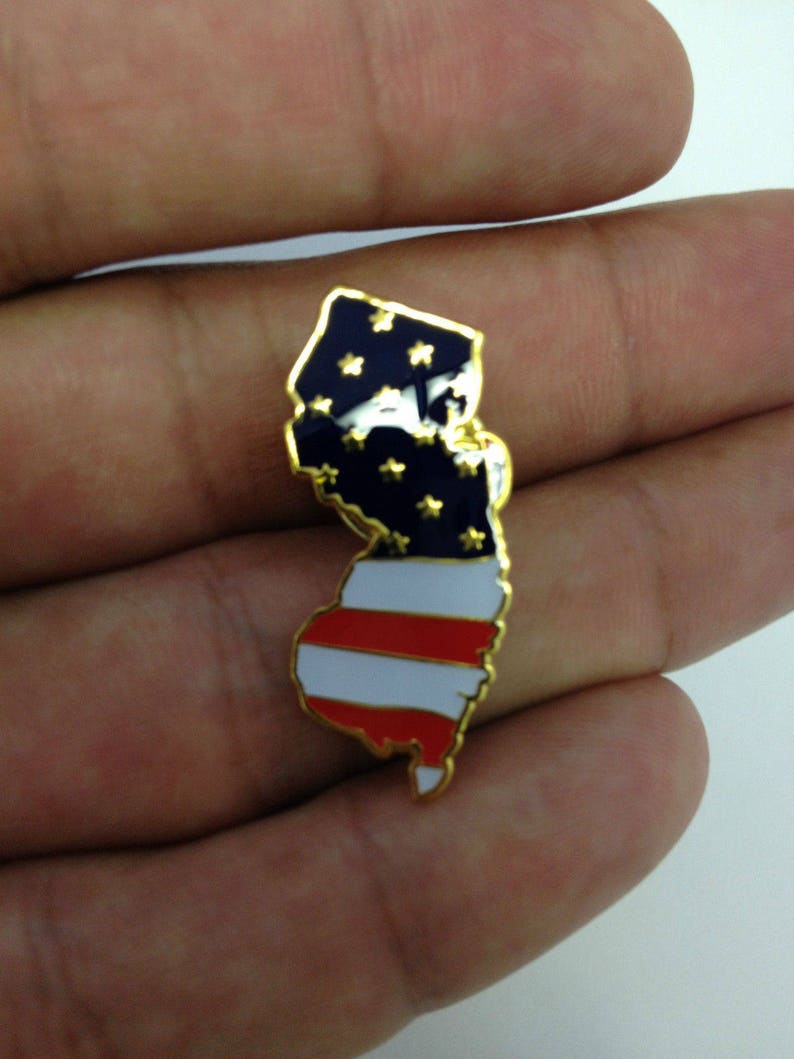 New Jersey State Lapel Pin NJ US Flag American USA Patriot Politics Old