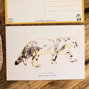 Carte postale léopard des neiges