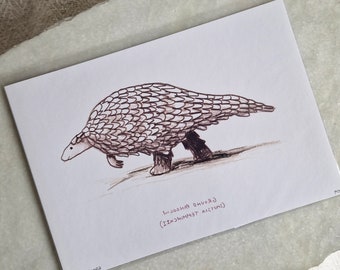 May include: A black and white line drawing of a pangolin, a mammal with scales, walking on all fours. The drawing is on a white background with the text "Ground Pangolin (Manis Temminckii)" written below the image.