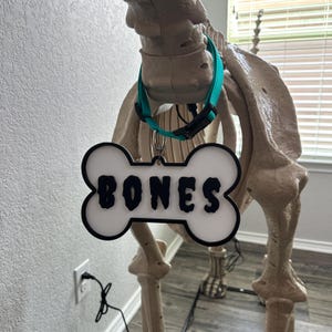 May include: A white plastic dog tag shaped like a bone with the word "BONES" printed in black. The tag is attached to a teal blue dog collar and is worn by a skeleton dog.