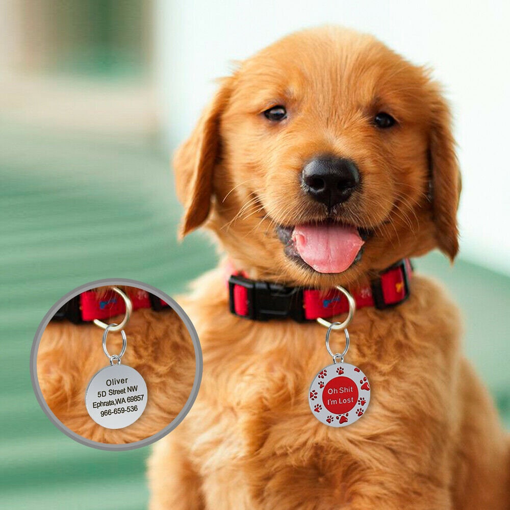DII ABC Lost New Puppy Kitten Identification Handstamped 1 1/8 7/8 Inch Discs Change Name Phone Cat Collar Round Disc Fast 1 Day Shipping Dog ID Tag Pet Identification 