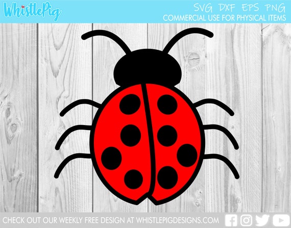 Download Ladybug Svg Cute Ladybug Svg Ladybird Svg Spring Bug Svg Etsy