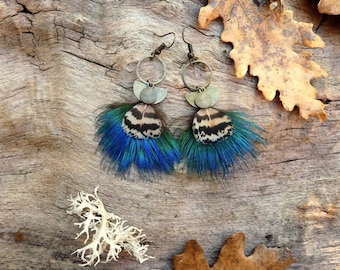 &quot;Azuli&quot; earrings in natural peacock feathers - designer jewelry