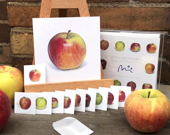 Apple Notecards Set: Realistic Hand-Painted Prints with Envelopes & Stickers