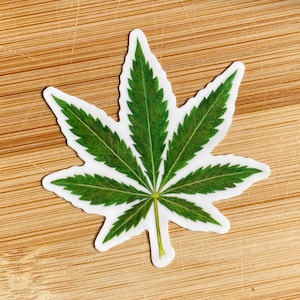 Puede incluir: Una pegatina de hoja de cannabis verde con un contorno blanco. La pegatina está sobre una superficie de madera marrón claro.