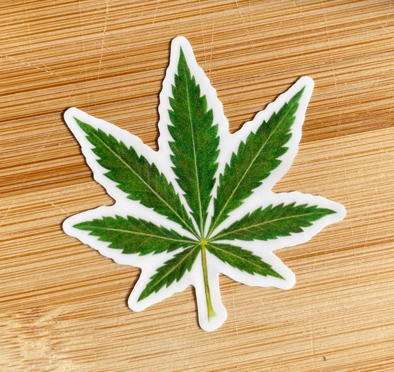 Autocollant Sticker Cannabis (marijuana) - Dimensions 11 X 9.5 Cm - Pour Auto, Moto, Casque