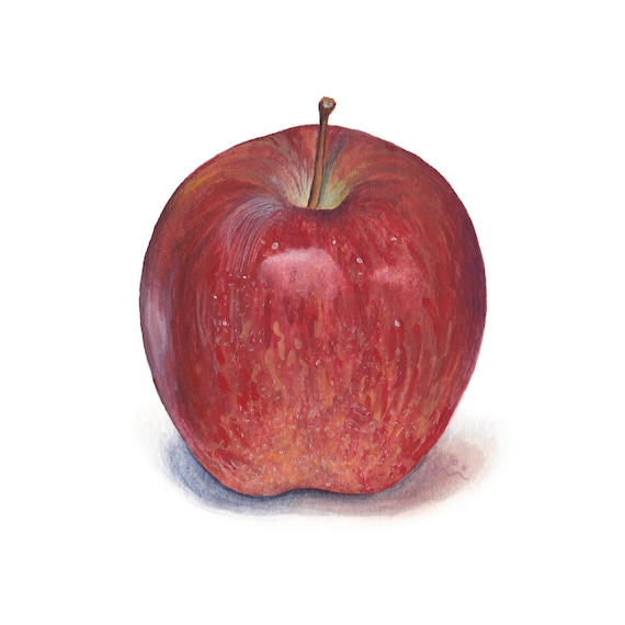muku　Apple Poster fposter,medium,wall_texture,