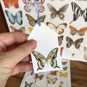 Vlinderkaart en cadeaukaartjes Direct afdrukbaar downloaden • Zelf afdrukken PDF • Kaart en zes cadeaukaartjes