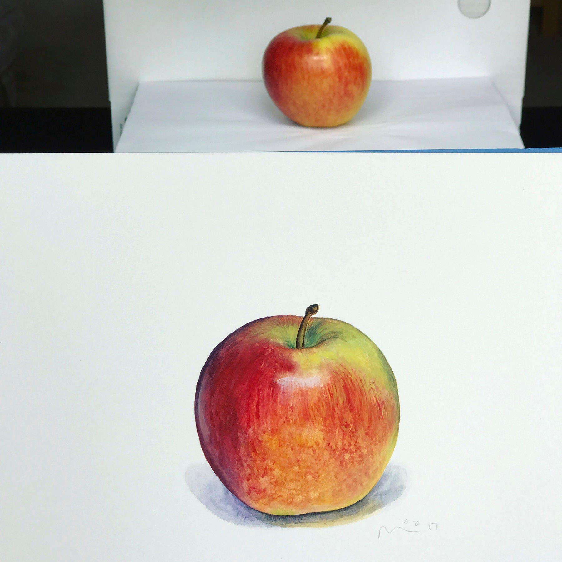 Apple Art Print in Multiple Sizes • Giclée Print of an