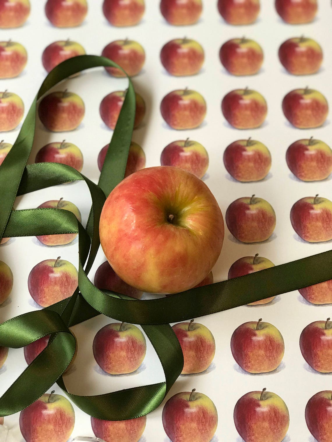 Apple Wrapping Paper Giftwrap Fruit Wrapping Sheets Apple Etsy
