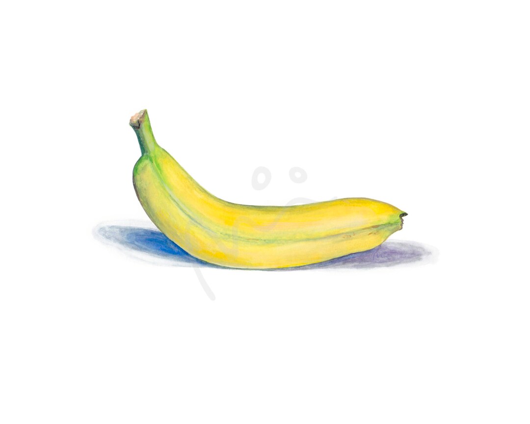 Banana Food Art Gouache Giclee Print Fine Art Print Micki Etsy