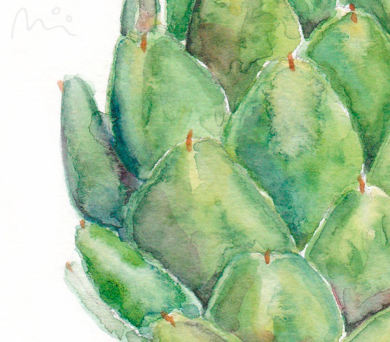 Artichoke Art Print in Multiple Sizes Giclée Print of an Original Watercolor Painting Archival Quality Realistic Fine Art Print image 4