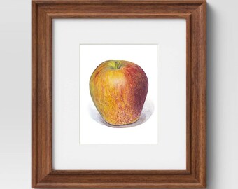 Envy Apple Art Print in Multiple Sizes • Giclée Print of an Original Painting • Archival Quality • Realistic Fine Art Print