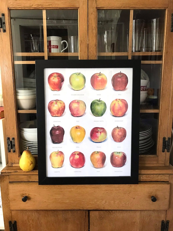 Apple Poster Featuring 16 Realistic, Life-size Hand-painted Apples