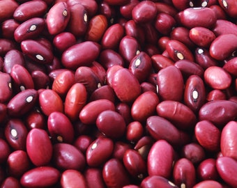 Heirloom Organic Small Red Beans US Seller 50-300 SEEDS USPS Shipping!