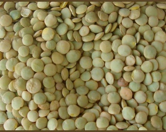 Heirloom Organic Lentils regular US Seller 50-300 SEEDS USPS Shipping!