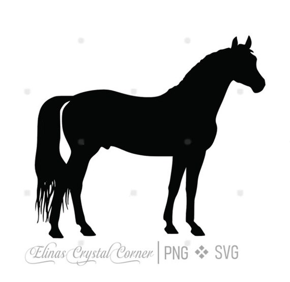 Download Horse Svg Png File Cricut Etsy PSD Mockup Templates