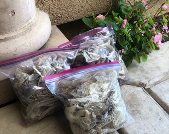 1-gallon bag of snake shed