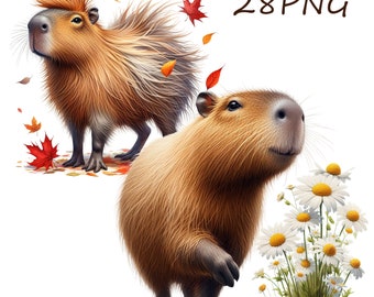 Illustrations of a funny capybara, creative files, images for your creativity, files for printing, 28 PNG with transparent background