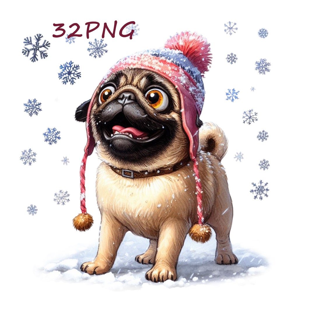 Pug Images, Unusual Charm, for Your Creative Pursuits, Complemented by ...