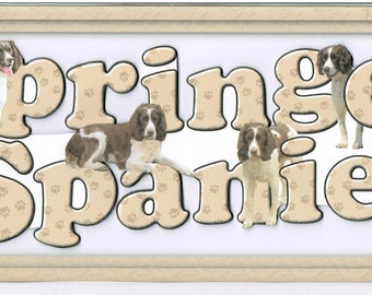 Springer Spaniel (brown & white) 3D Dog Breed Greeting Card