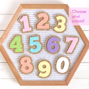 Custom Number Icons for Letter Boards | Made to Order | Choose your colors!