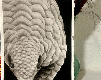 Acuarela de pangolín de 9” x 6.5”