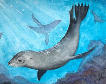 Acquerello di leone marino, 6,5" x 9,5".