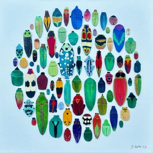 12” x 12” Beetles