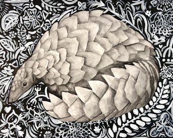 Pangolino 9" x 12"
