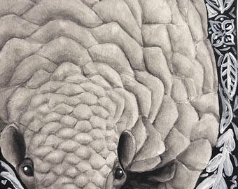 Pangolino ad acquerello, 23 x 16,5 cm
